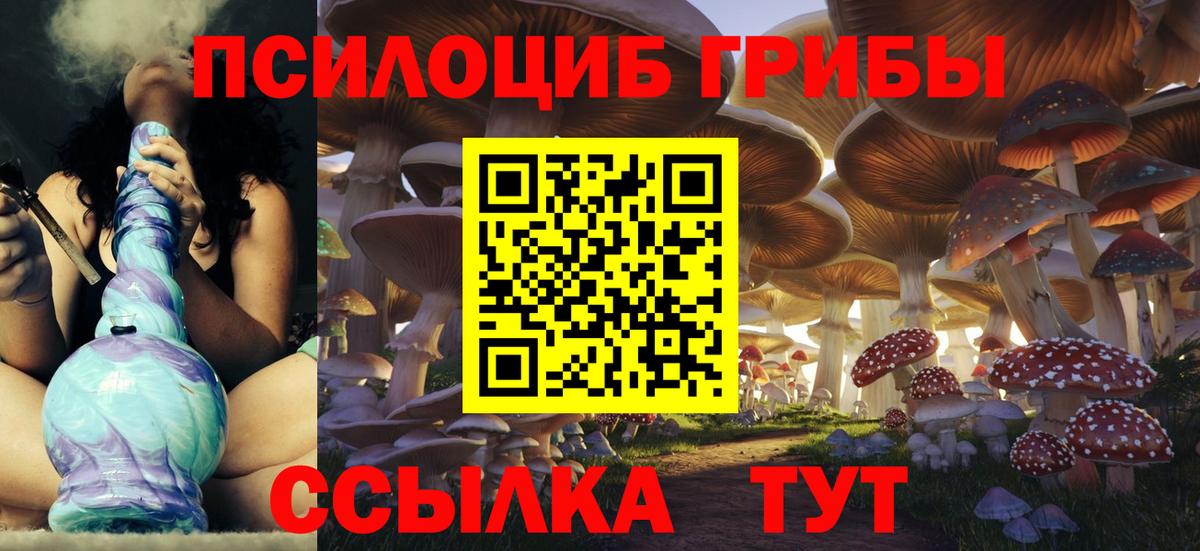 Псилоцибиновые грибы Cubensis  Вход с VPN  Белогорск  Псилоцибиновые грибы ЛСД 